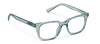 Tennessee Progressives Glasses Peepers