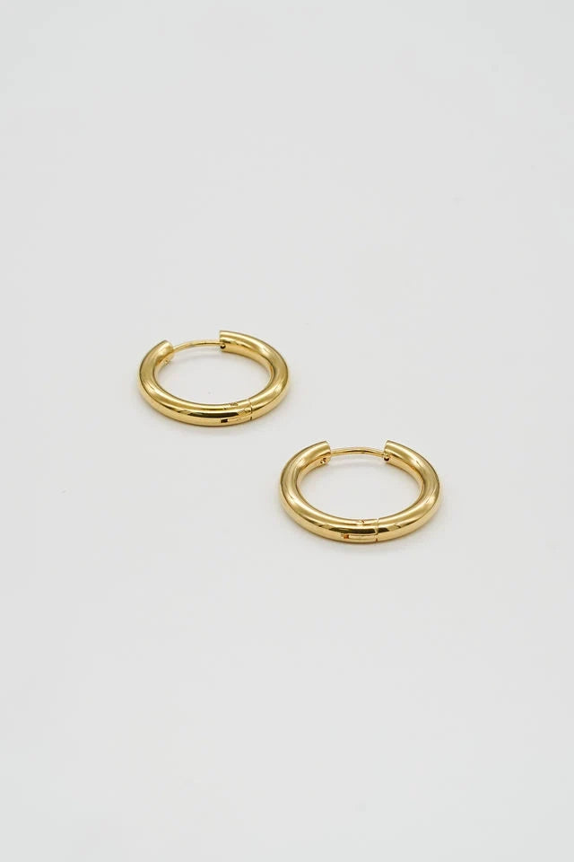 Gold Hoops Jewelry Peacocks & Pearls