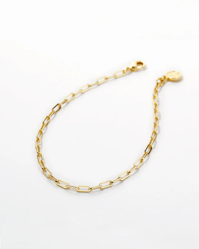 Connected Delicate Paperclip Chain Bracelet Jewelry Bryan Anthony's Gold  