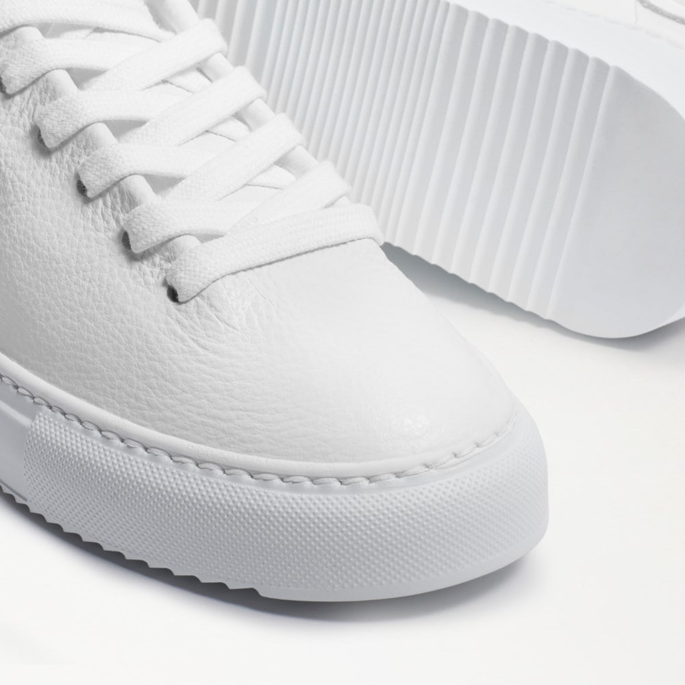Poppy Lace-Up Sneaker Sale Sam Edelman