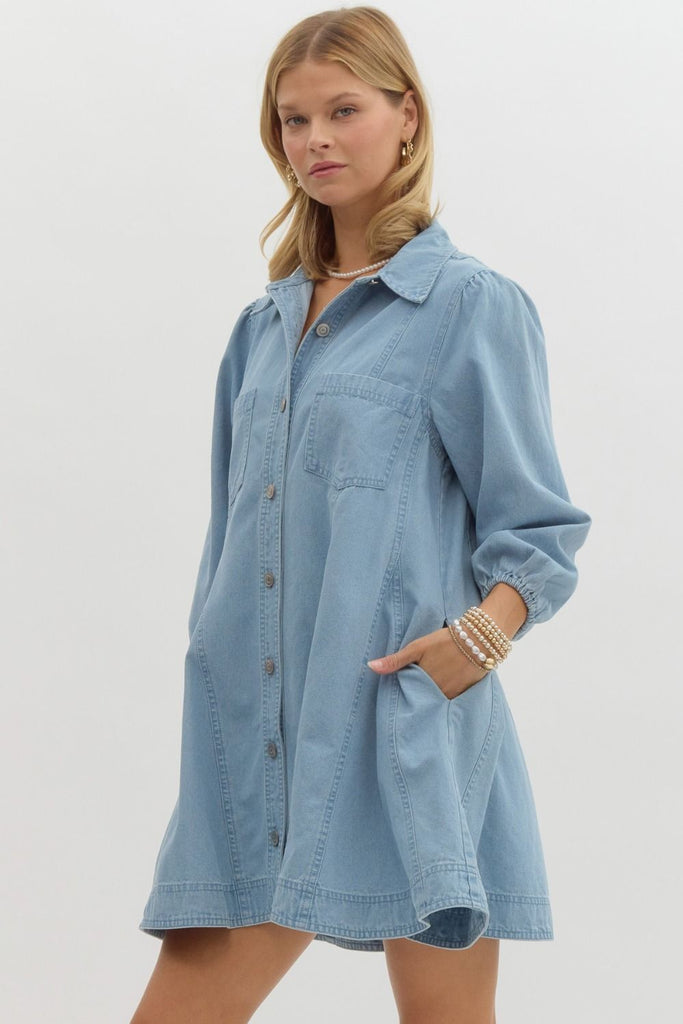 The Moroney Denim Dress Clothing Peacocks & Pearls