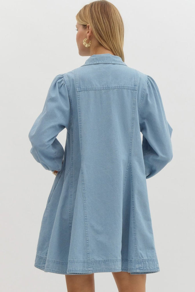 The Moroney Denim Dress Clothing Peacocks & Pearls